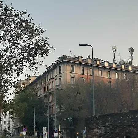 Savoia 19
